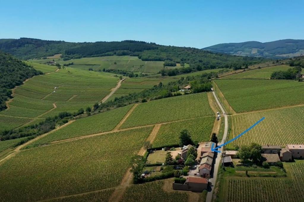 Le Tinailler Grand Standing Au Coeur Des Vignes Villa Prissé Exterior foto