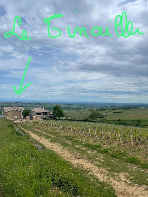 Le Tinailler Grand Standing Au Coeur Des Vignes Villa Prissé Exterior foto