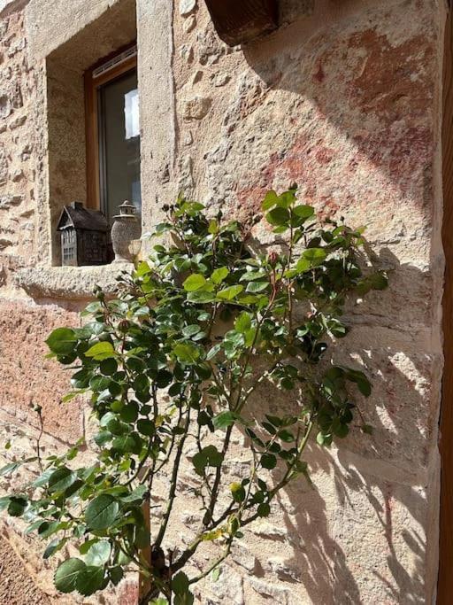 Le Tinailler Grand Standing Au Coeur Des Vignes Villa Prissé Exterior foto