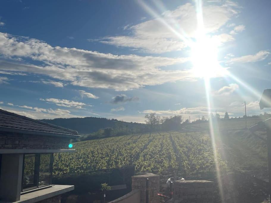 Le Tinailler Grand Standing Au Coeur Des Vignes Villa Prissé Exterior foto